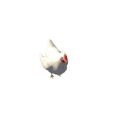 HerdSim Chicken